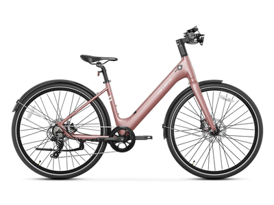 Heybike EC 1-ST Pedelec Electric Bike
