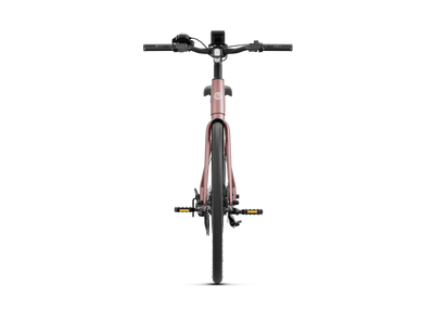 Heybike EC 1-ST Pedelec Electric Bike