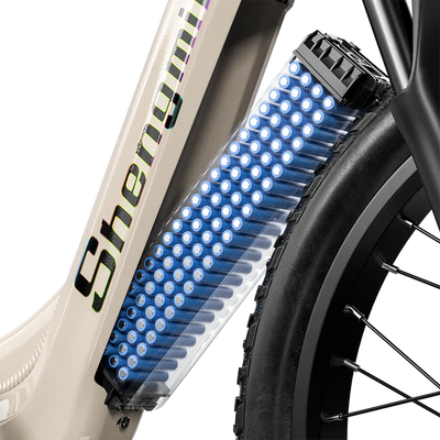 Shengmilo S700 1000W*2 Dual Motor Electric Bike