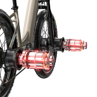 Shengmilo S700 1000W*2 Dual Motor Electric Bike