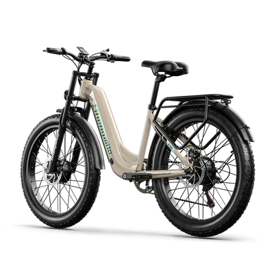 Shengmilo S700 1000W*2 Dual Motor Electric Bike