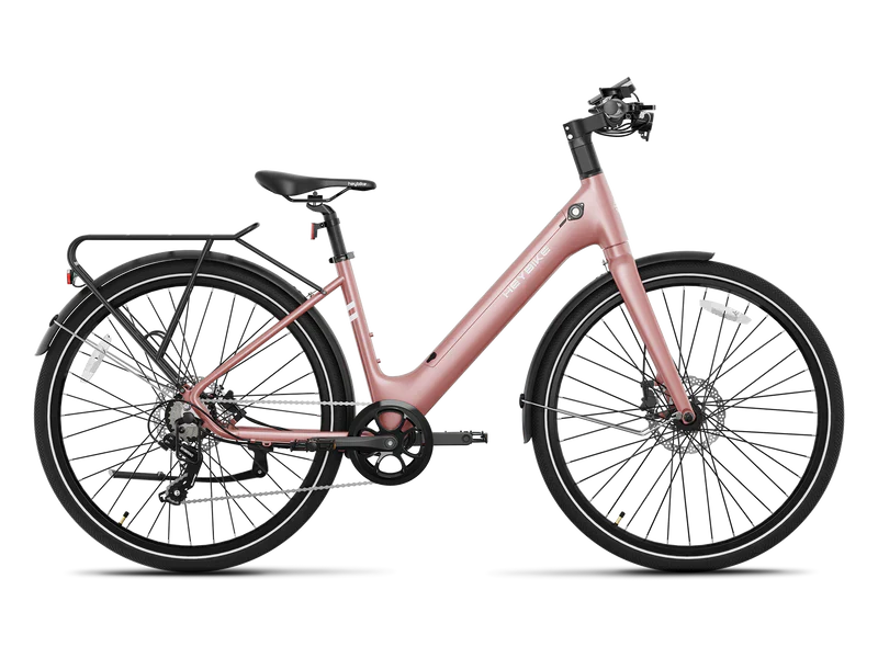 Heybike EC 1-ST Pedelec Electric Bike