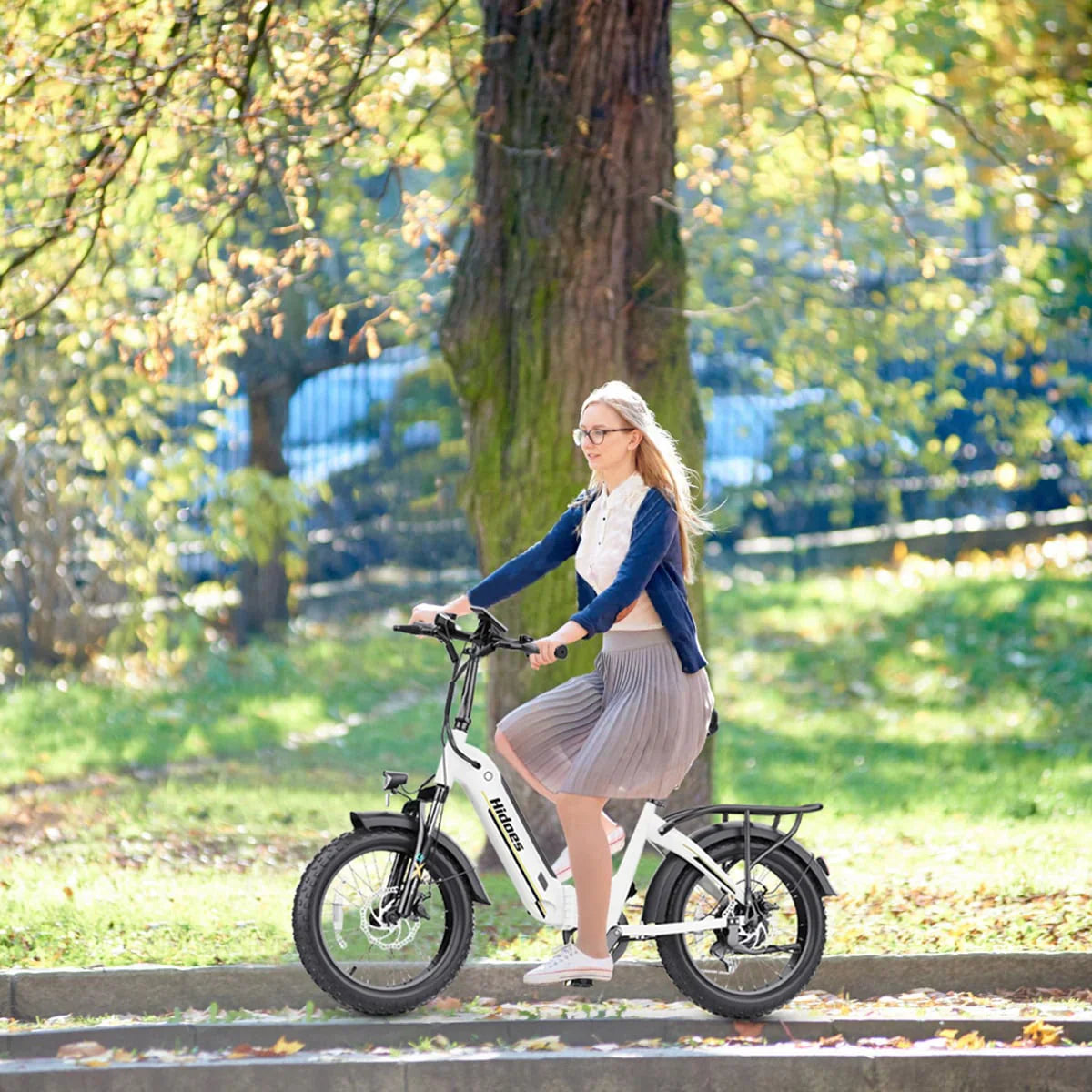 Hidoes BF1 Step-Thru Folding Electric Bike