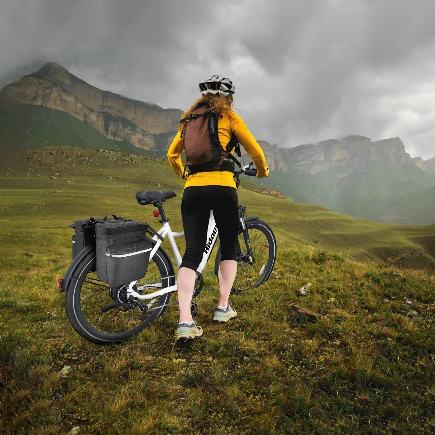 Hidoes BN1 Commuter Electric Bike - UK