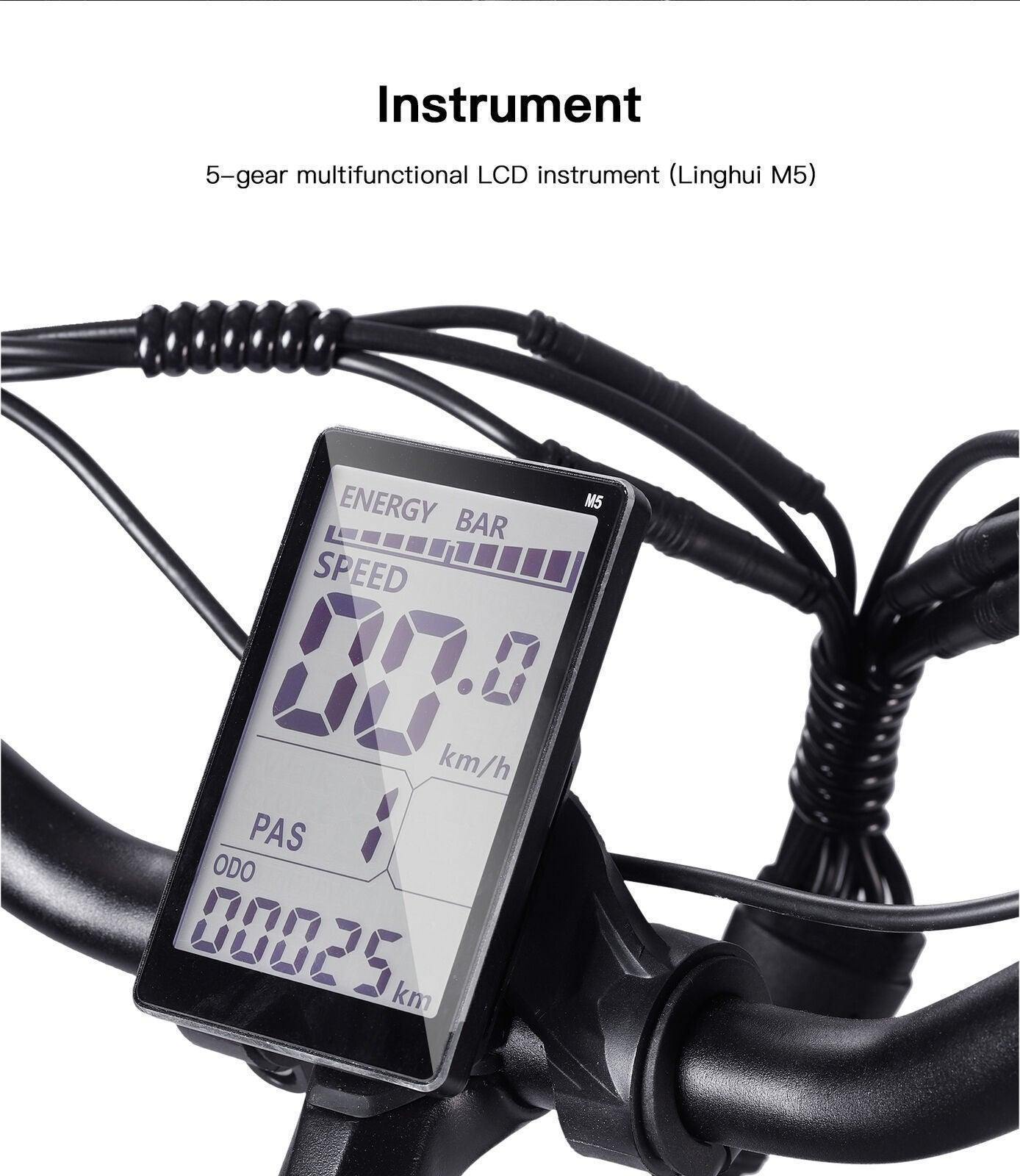 Bezior XF001 Retro Electric Bike - US