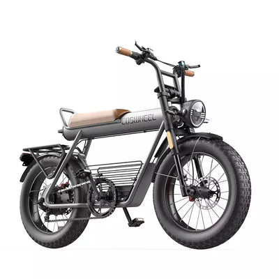 Coswheel CT20 Cargo Electric Bike - UK