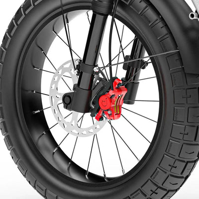 COSWHEEL CT20S Strong Power Electric Bike - UK
