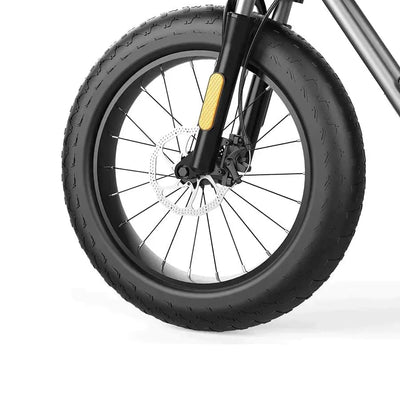 Coswheel T20 All Terrain Cargo Electric Bike - UK