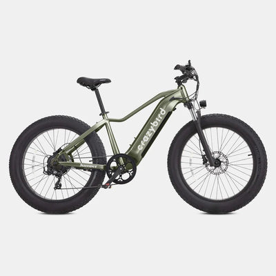Crazybird Jumper E-Bike