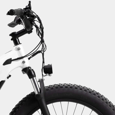 Crazybird Jumper E-Bike - UK