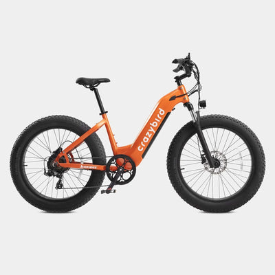 Crazybird Jumper E-Bike - UK