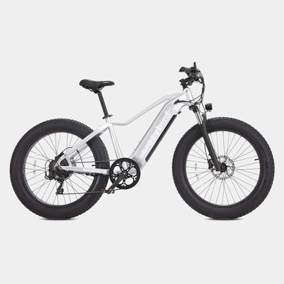 Crazybird Jumper E-Bike
