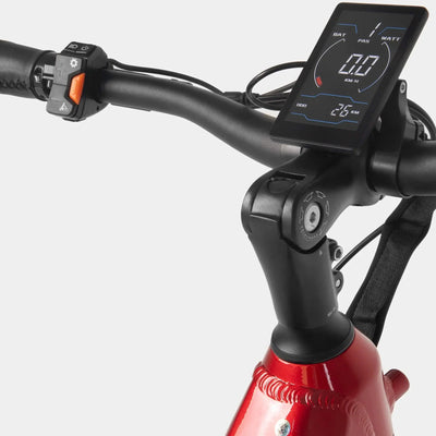 Crazybird Seta E-Bike