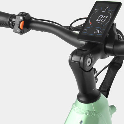 Crazybird Seta E-Bike