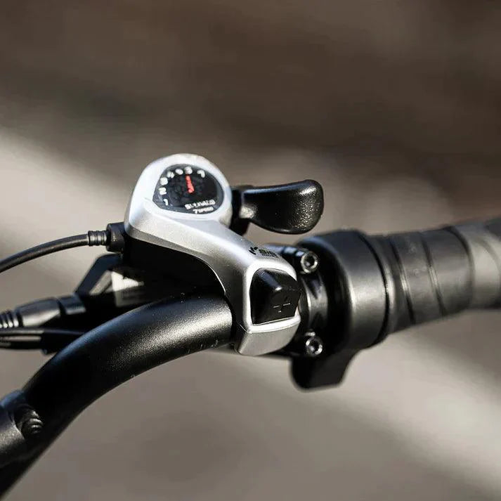 Cyrusher Ovia Step-through E-Bike