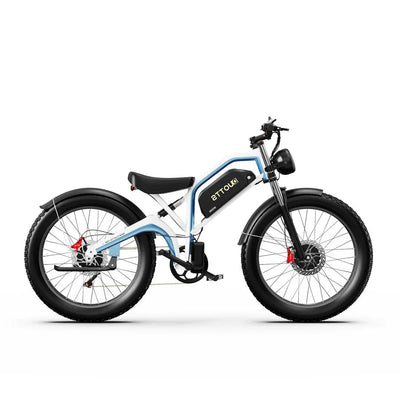 DUOTTS N26 Electric Bike