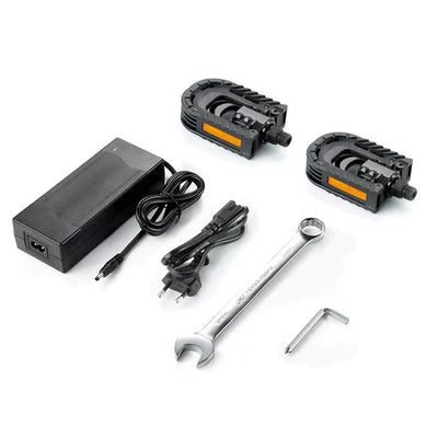 DYU FF500 Foldable Electric Bike-UK