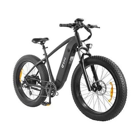 DYU King 750 Mountain Electric Bike