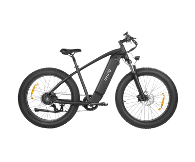 DYU King 750 Mountain Electric Bike - UK