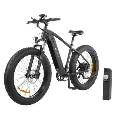 DYU King 750 Mountain Electric Bike - UK