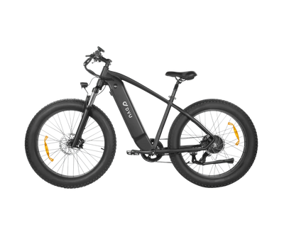 DYU King 750 Mountain Electric Bike - US