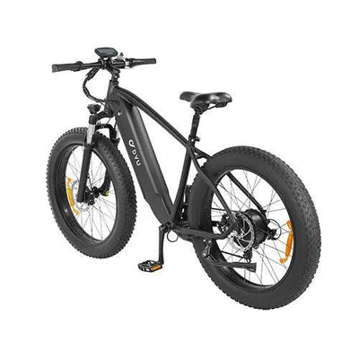 DYU King 750 Mountain Electric Bike - US