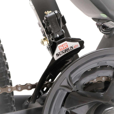 Eleglide M1 PREMIUM Electric  Bike