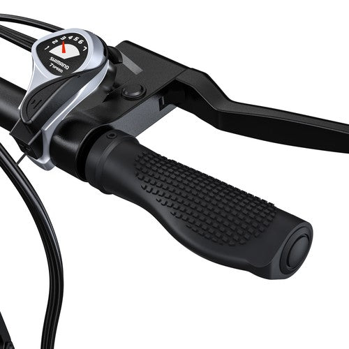 ENGWE Fiido d4s electric bike