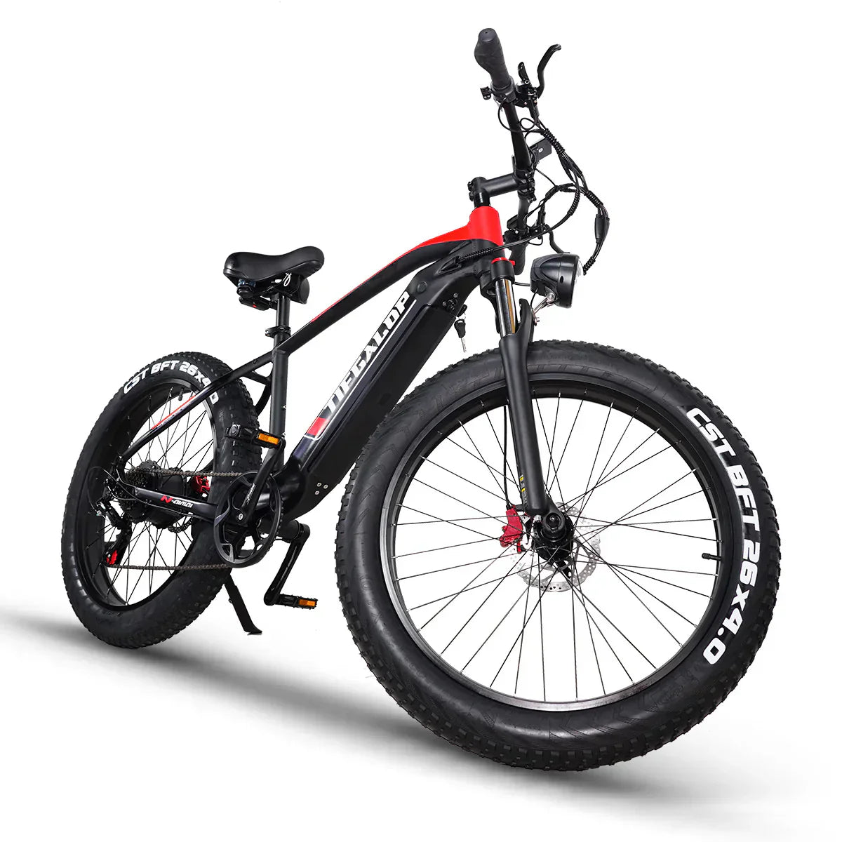 ES28 1000W ELECTRIC BIKE