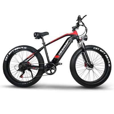 ES28 1000W ELECTRIC BIKE