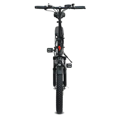FAFREES F20 Folding Electric Bike