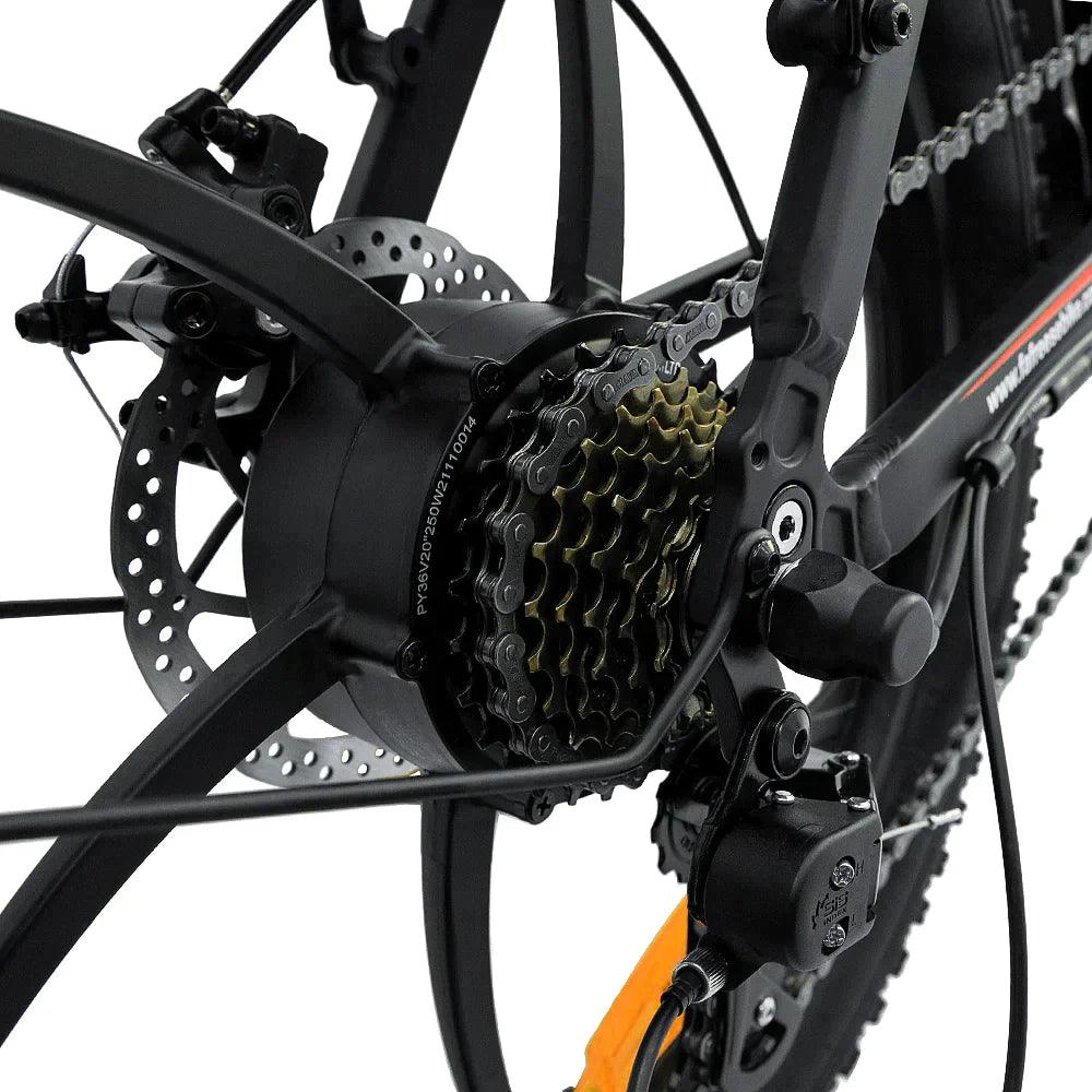 FAFREES F20 Folding Electric Bike