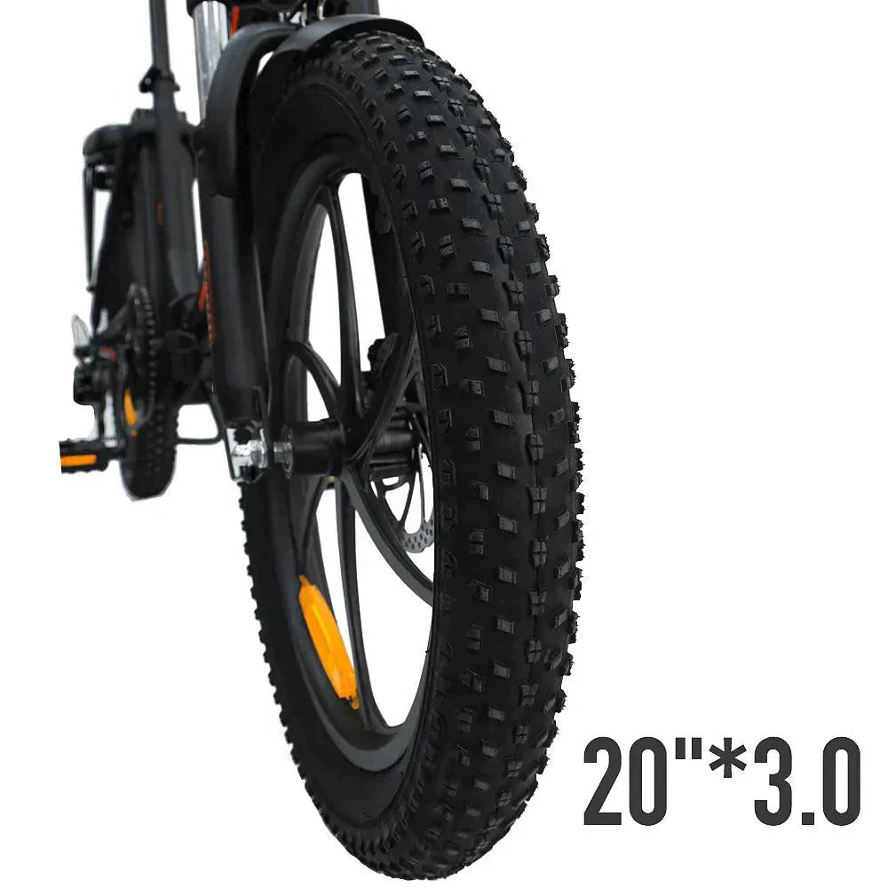 FAFREES F20 Folding Electric Bike