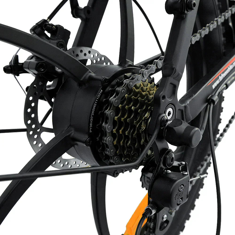 FAFREES F20 Folding Electric Bike - UK