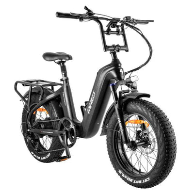 FAFREES F20 Master Electric bike