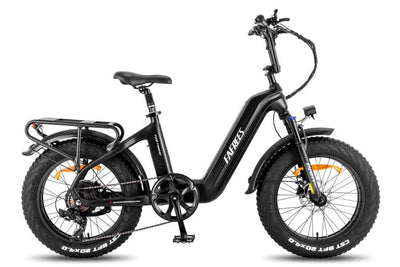 FAFREES F20 Master Electric bike