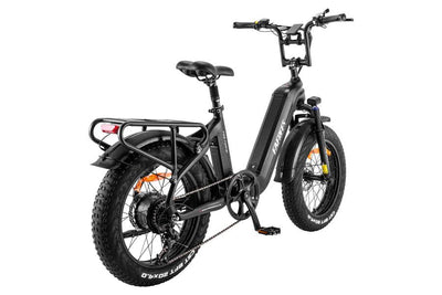 FAFREES F20 Master Electric bike