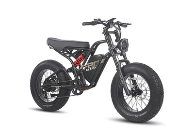 Fafrees F20 Ultra Electric Bike