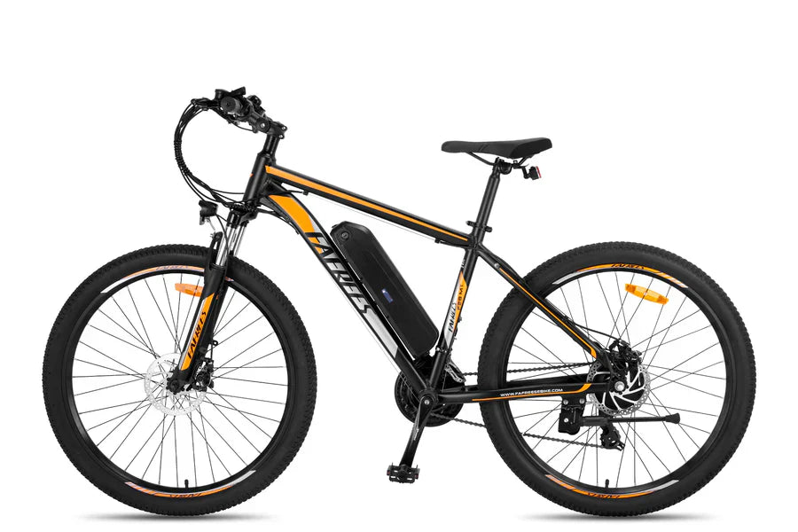 Fafrees F28 MT Mountain Electric Bike
