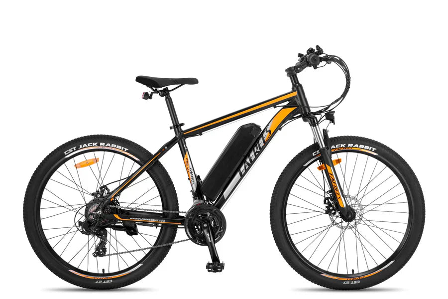 Fafrees F28 MT Mountain Electric Bike