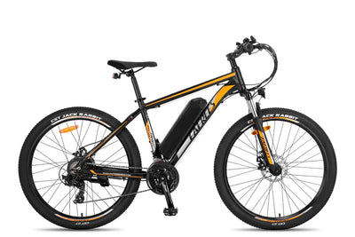 Fafrees F28 MT Mountain Electric Bike