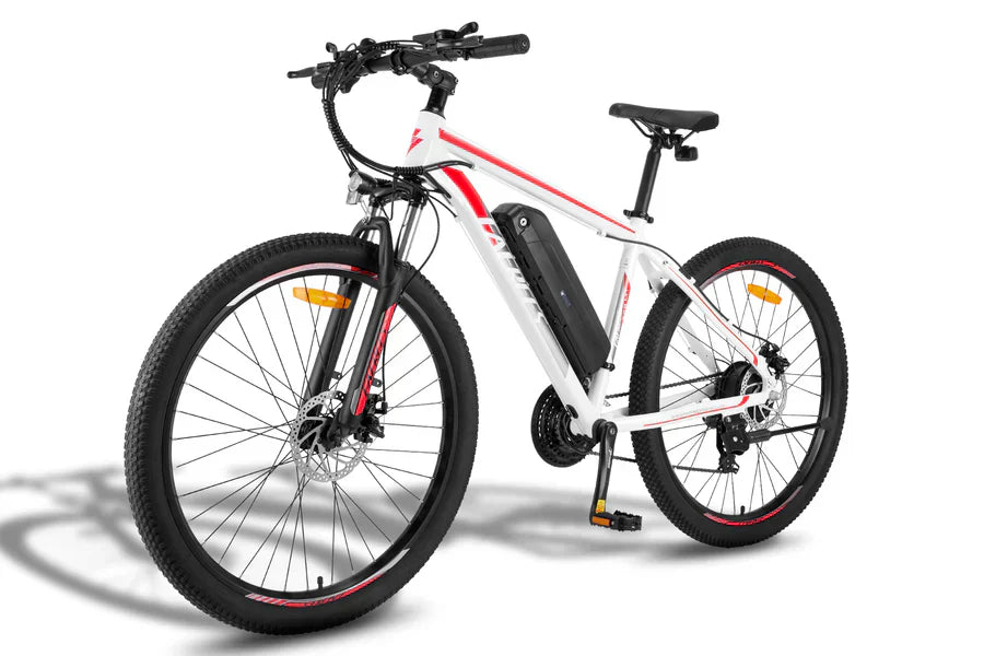 Fafrees F28 MT Mountain Electric Bike
