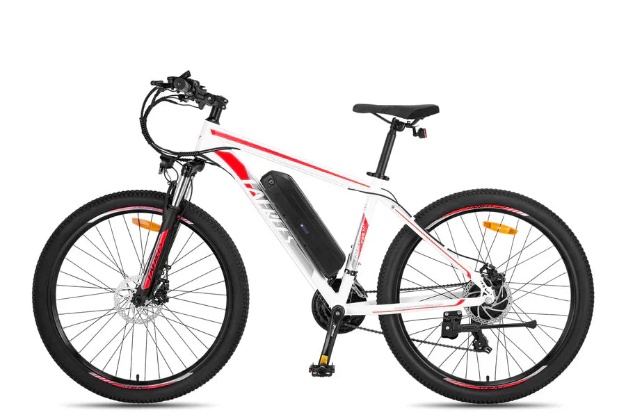 Fafrees F28 MT Mountain Electric Bike