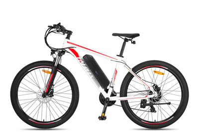 Fafrees F28 MT Mountain Electric Bike