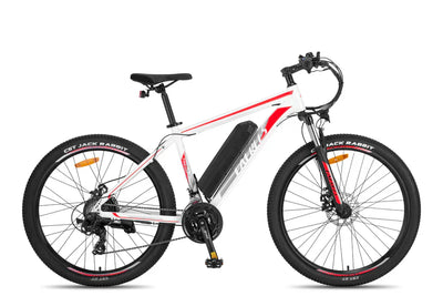 Fafrees F28 MT Mountain Electric Bike