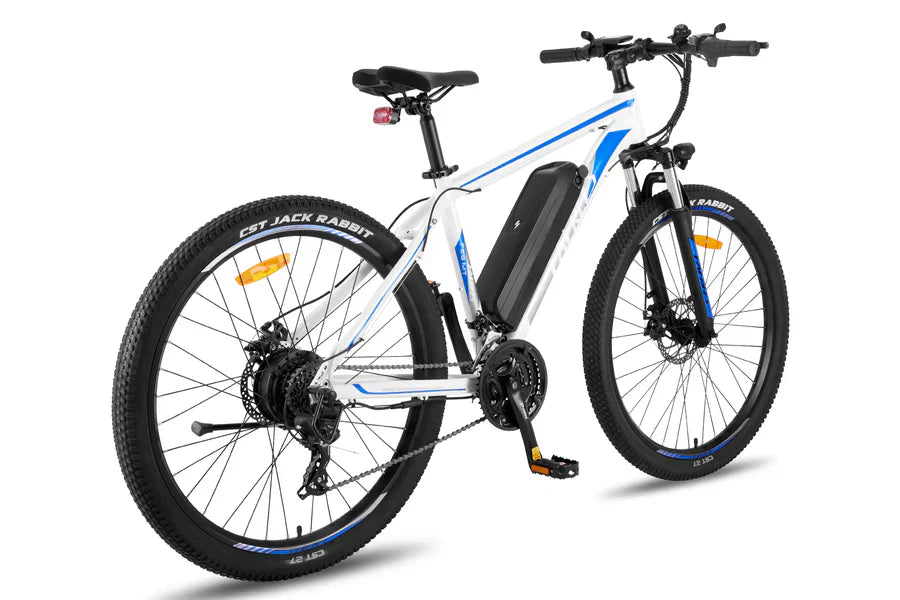 Fafrees F28 MT Mountain Electric Bike