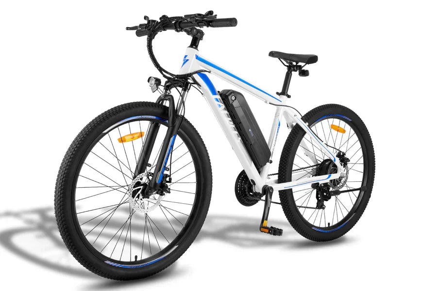 Fafrees F28 MT Mountain Electric Bike