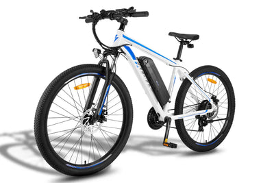 Fafrees F28 MT Mountain Electric Bike