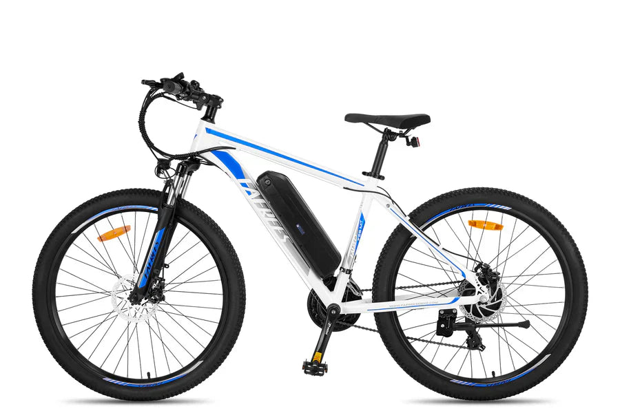 Fafrees F28 MT Mountain Electric Bike