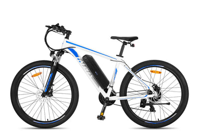 Fafrees F28 MT Mountain Electric Bike
